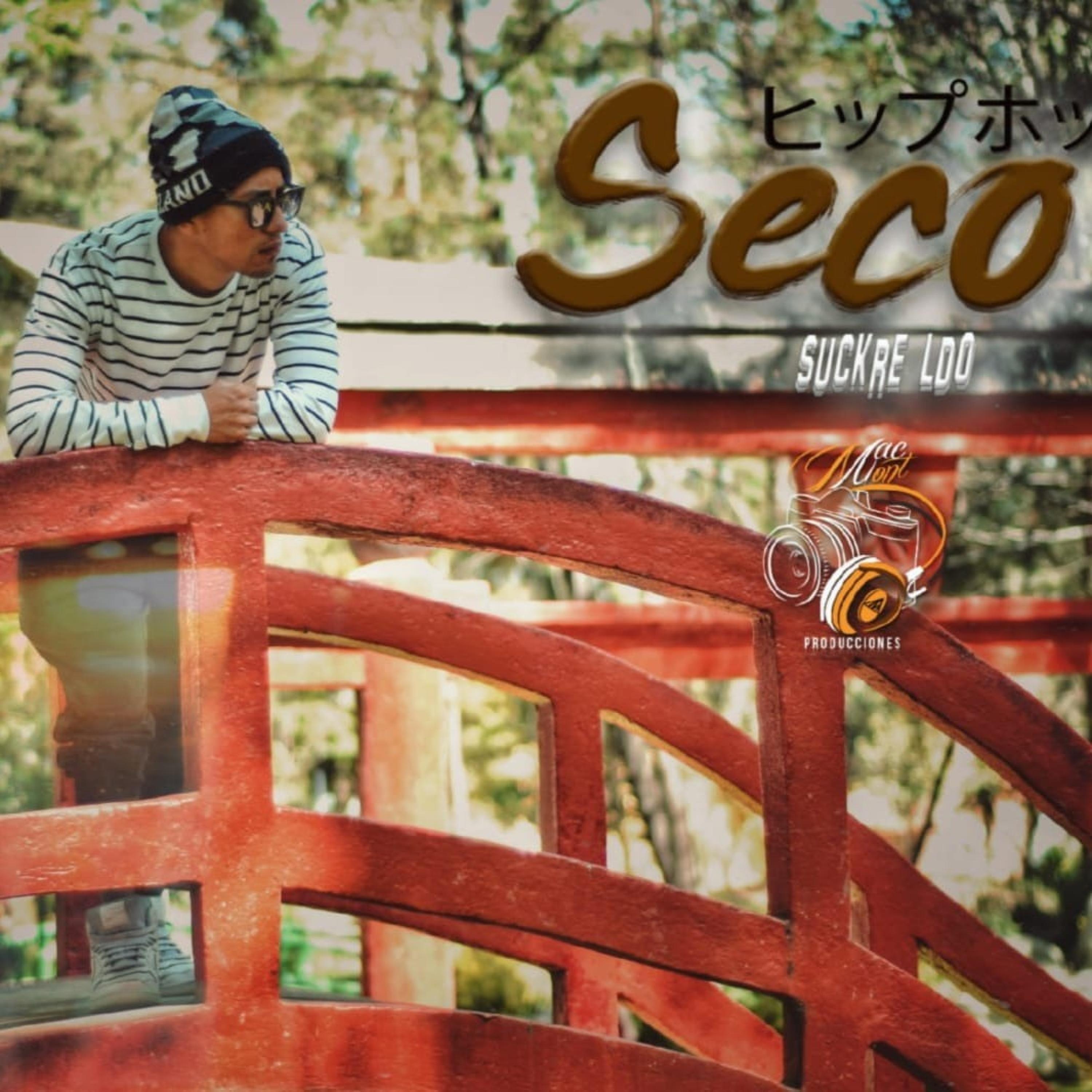 seco (feat. suckre ldo)