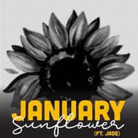 January Sunflower