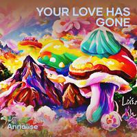 Your Love Has Gone