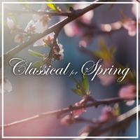 Mozart: Classical for Spring