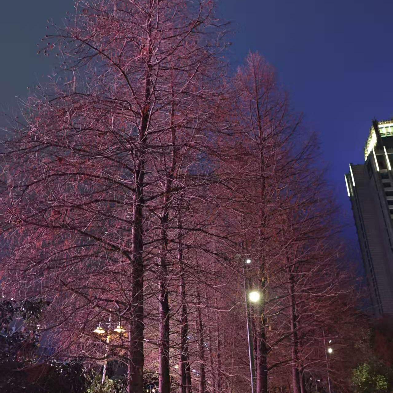 [FREE]Asen &Lil tjay type beat"small town kid"