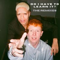 Do I Have to Learn It? (The Remixes)