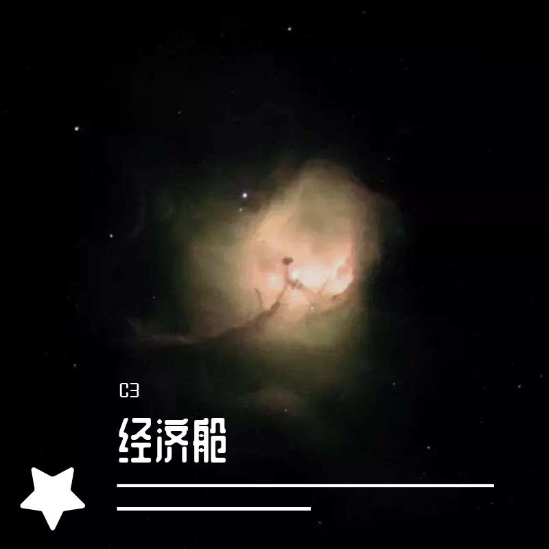 经济舱(Live）封面