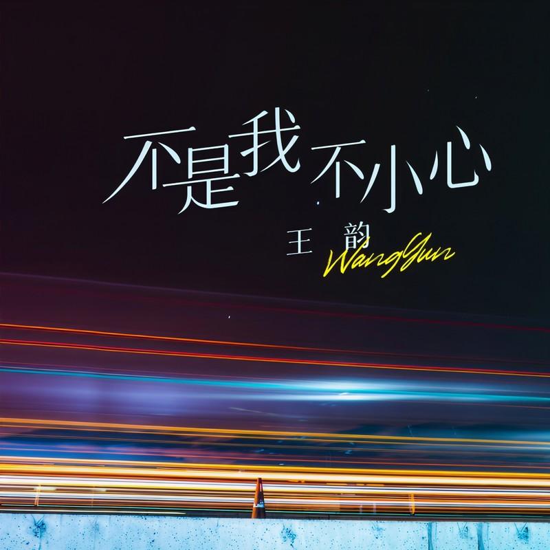 不是我不小心 - 王韵封面