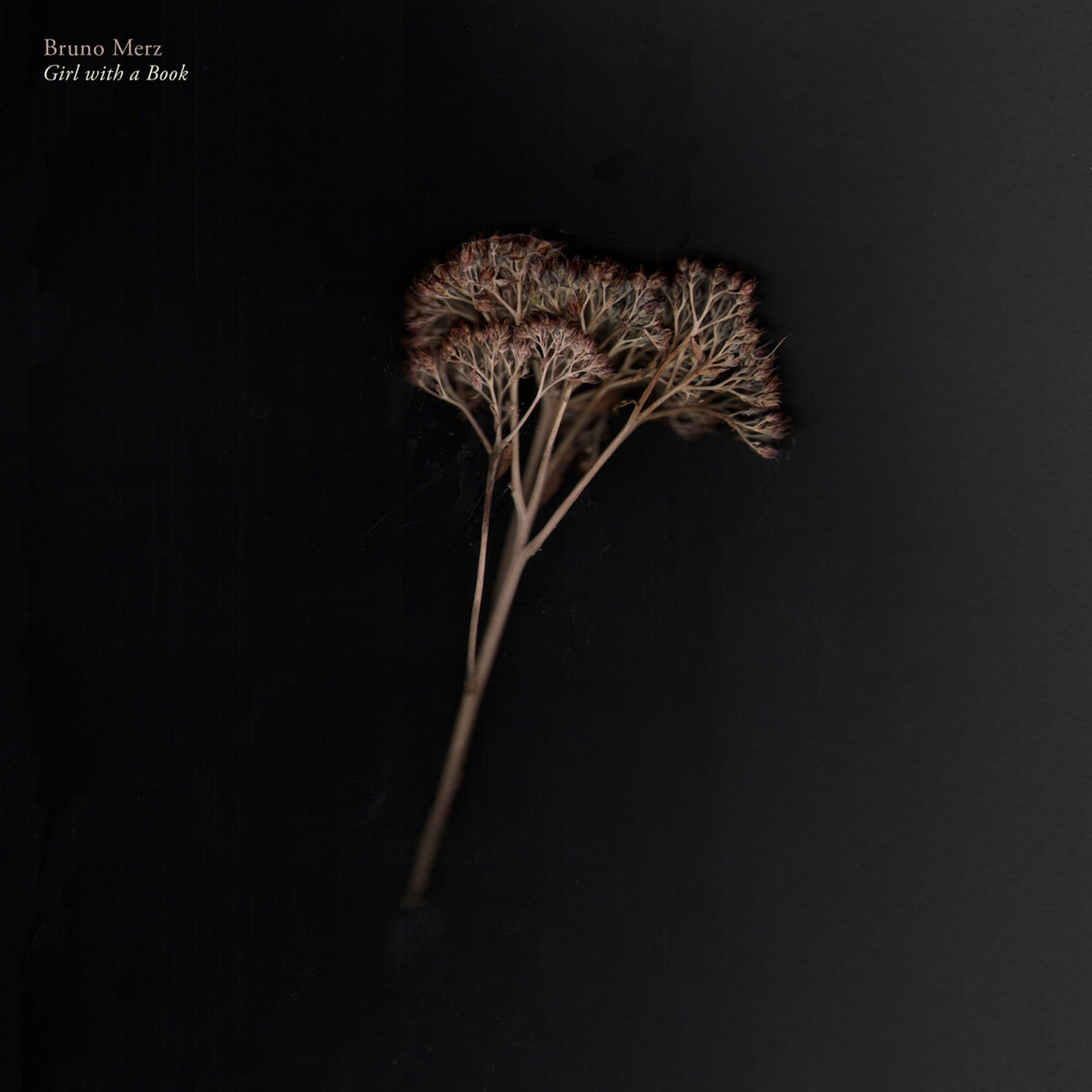 Girl With a Book Instrumental