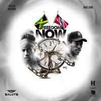 Freedom now (feat. Sizzla Kalonji)