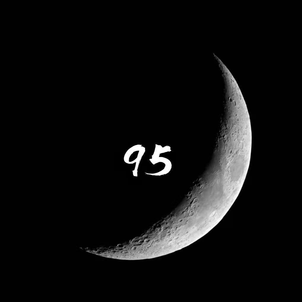 95封面