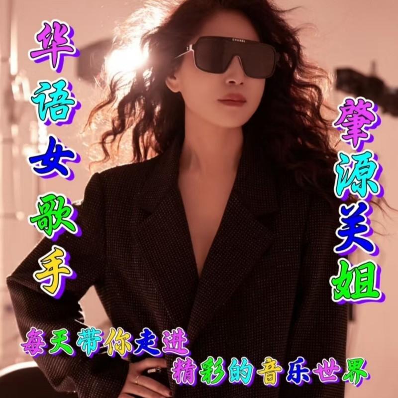 你永远不懂我封面