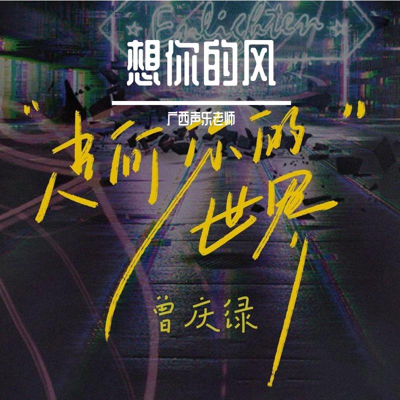 破碎时光的呐喊封面
