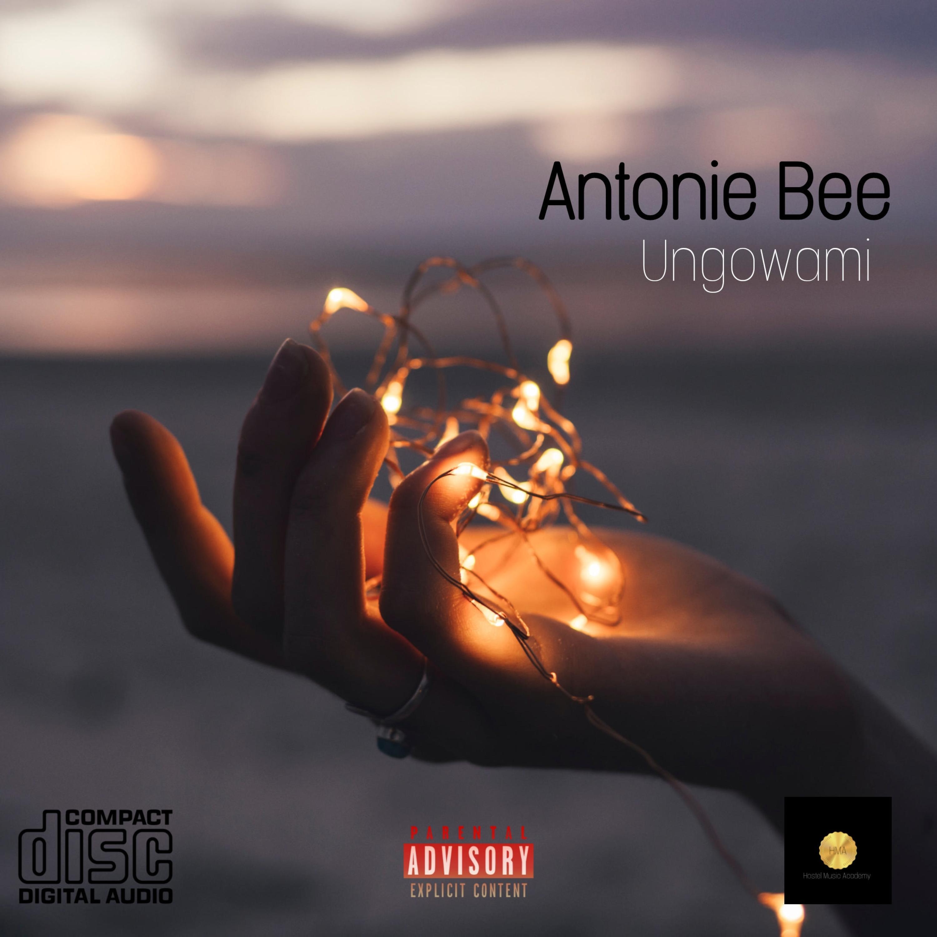 Ungowami (feat. Beekay & Eyilar) (Main mix)