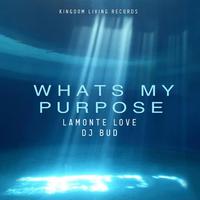 Whats My Purpose (feat. DJ BUD)