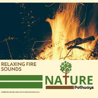 Relaxing Fire Sounds - Handpicked Nature Music South Carolina Beach, Vol.5