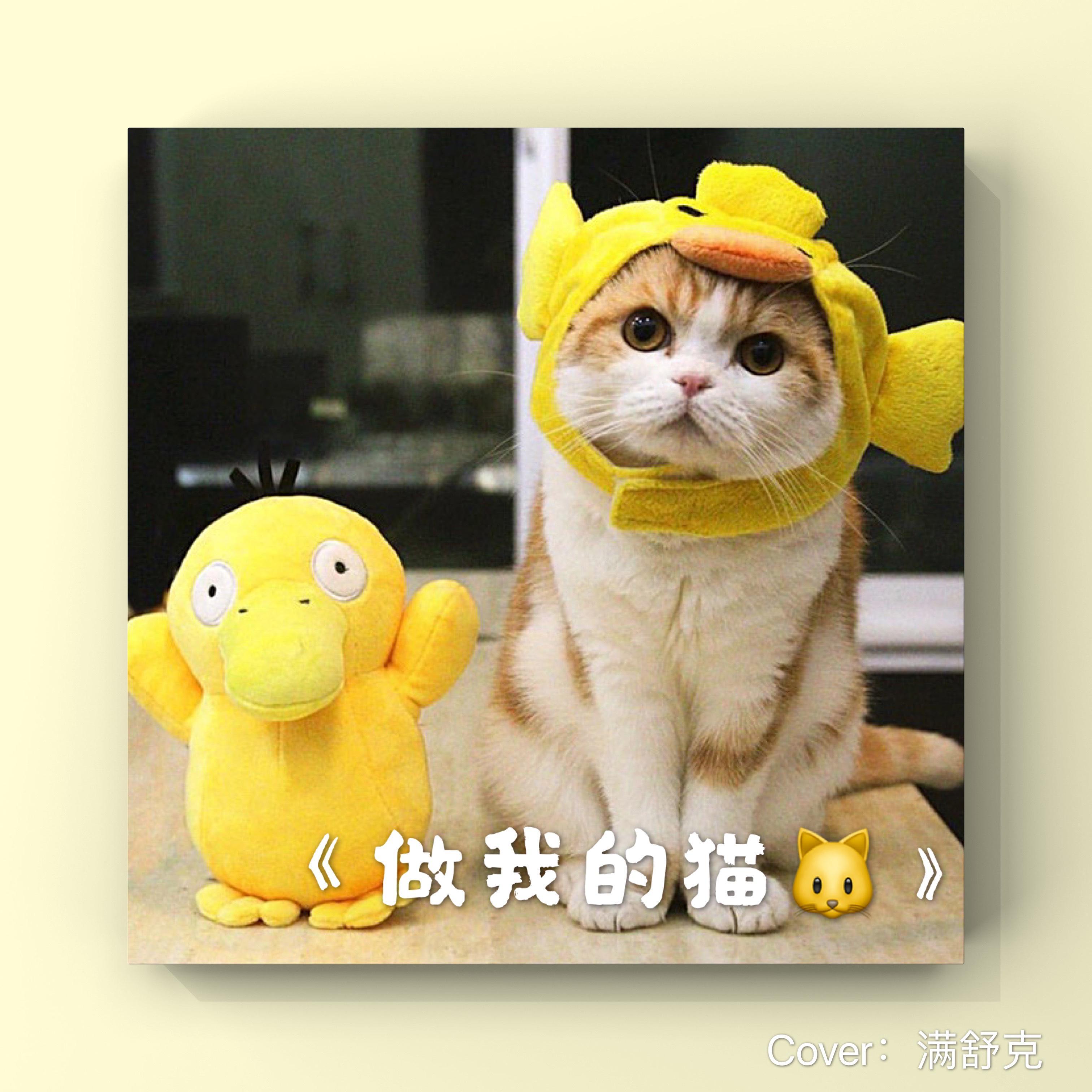 做我的猫