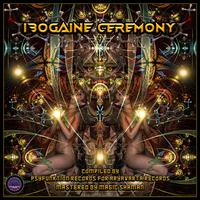 VA IBOGAINE CEREMONY COMPILED BY PSYFUNKTION RECORDS