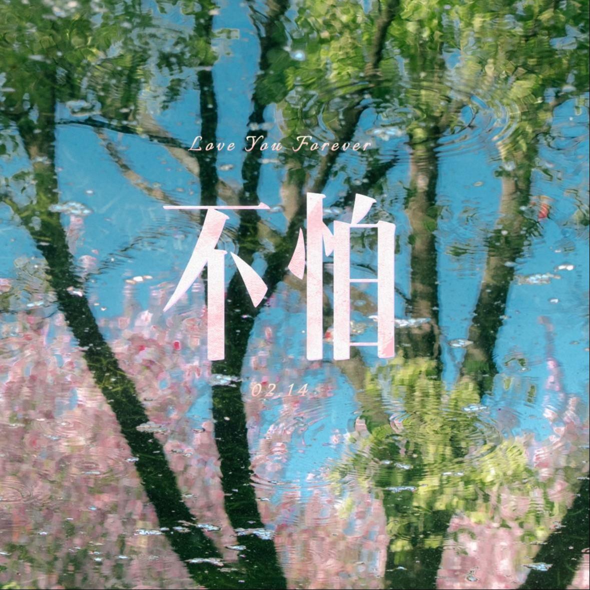 不怕（抖音原版）封面