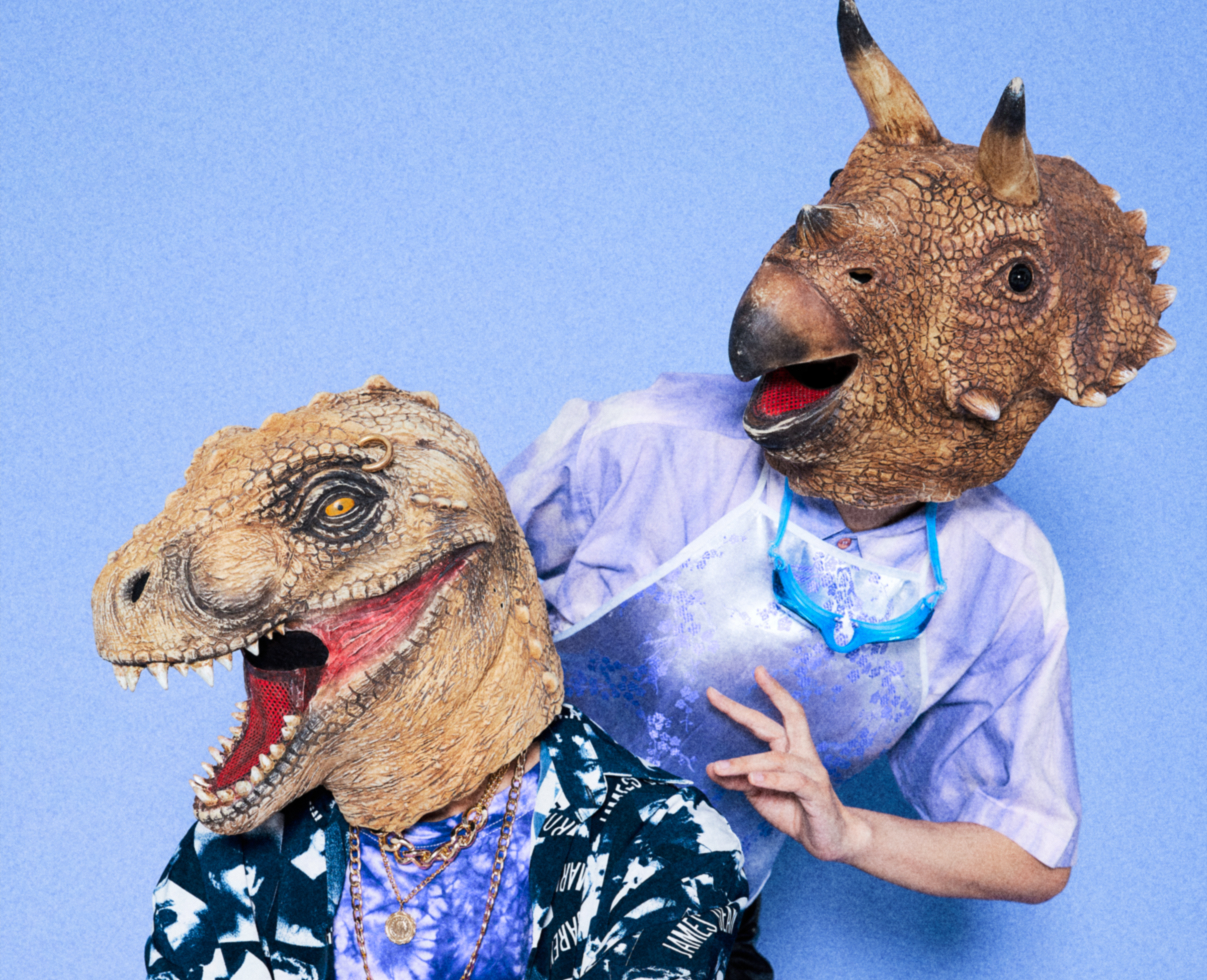 恐龙的皮 The Dinosaur’s Skin