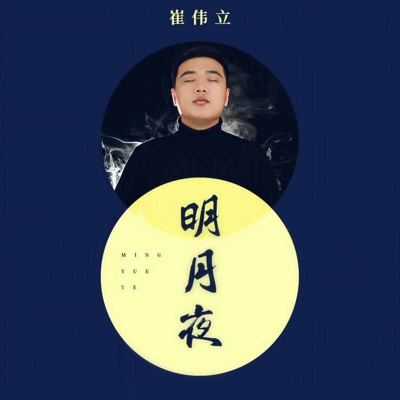 明月夜 (DJ光音坊版) - 崔伟立封面