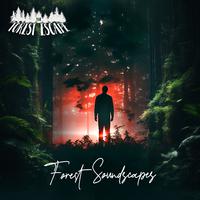 Forest Soundscapes