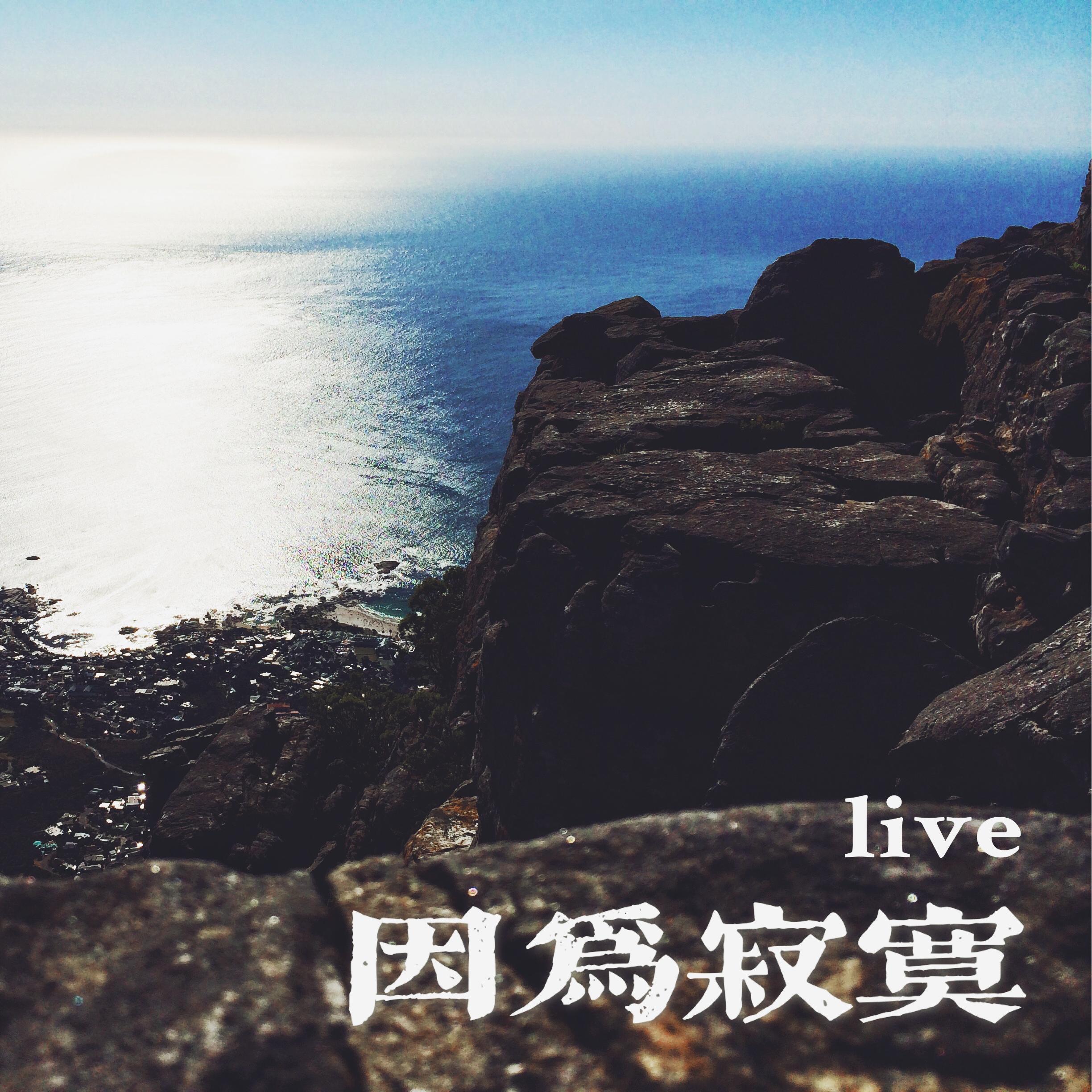 因为寂寞（live）封面