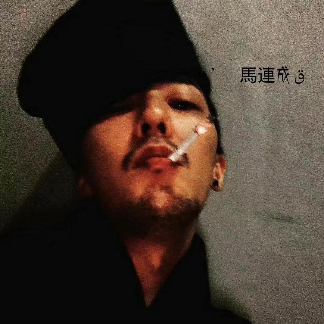 自由的飞翔封面