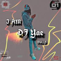 I Am DJ Yae, Vol. 3