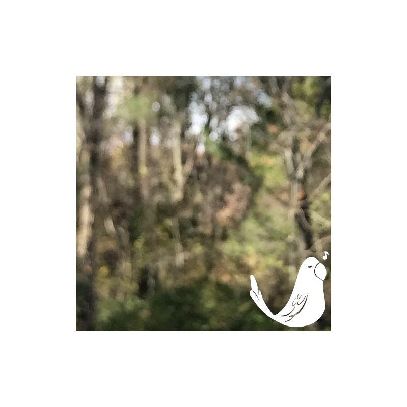 Wish I Was (Kosakii remix)