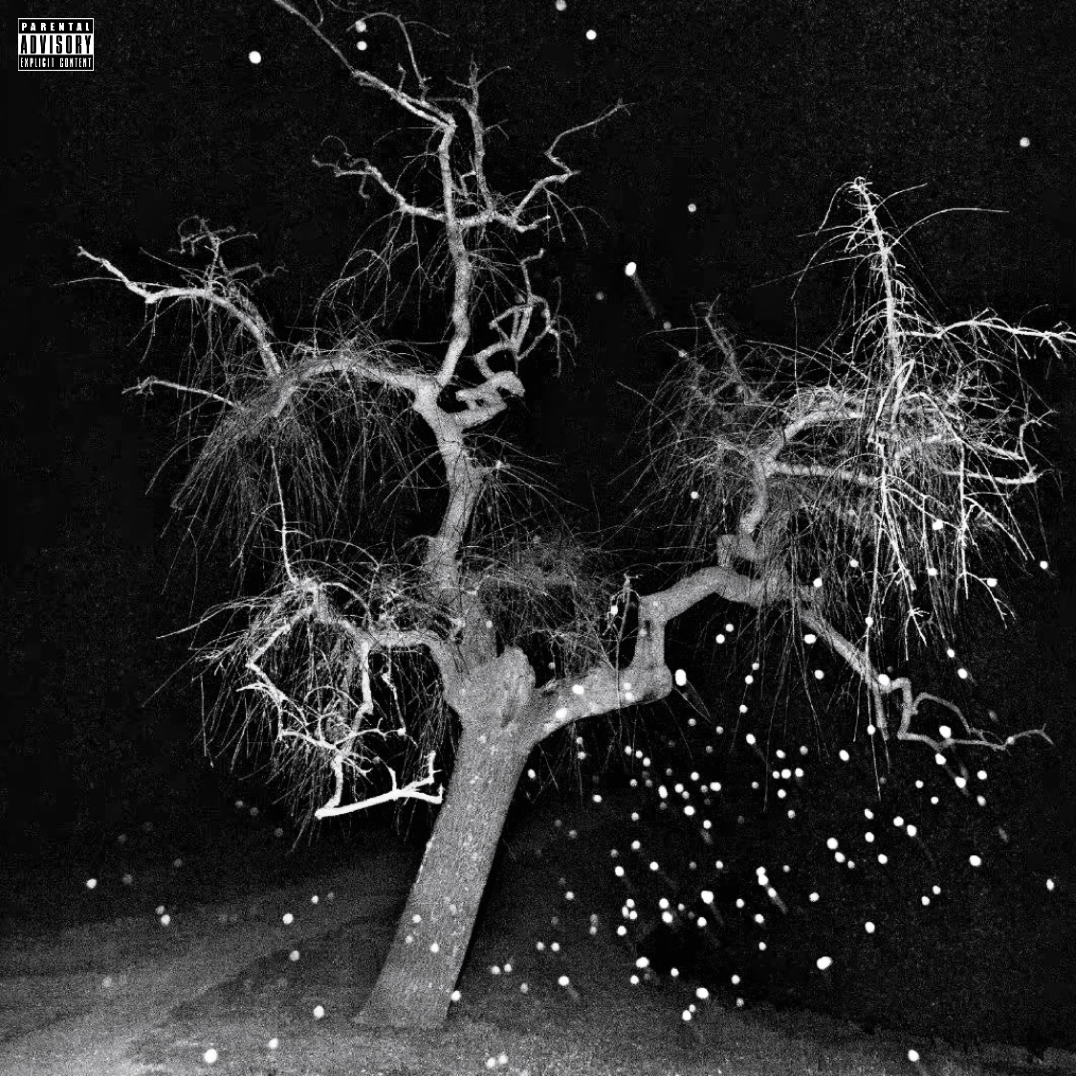 李佳隆-BERRY REMIX