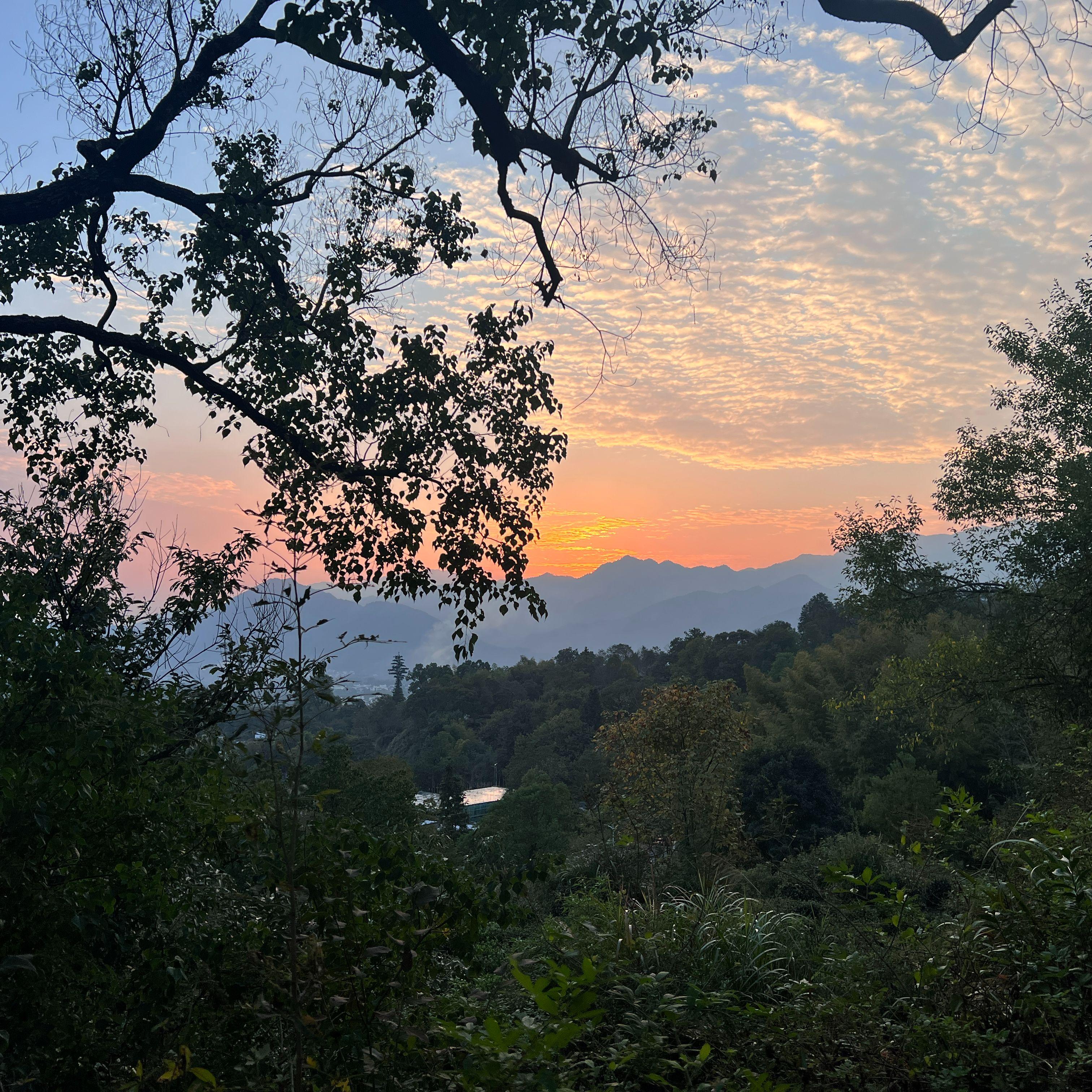 破碎的心在哀嚎