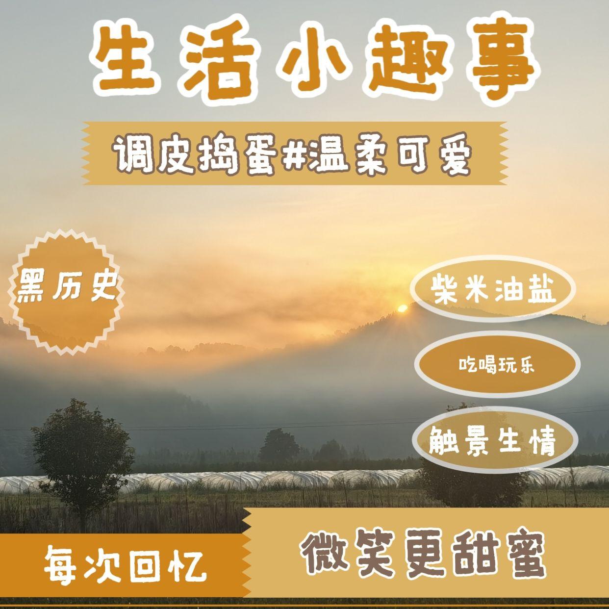 柴米油盐酱醋茶封面