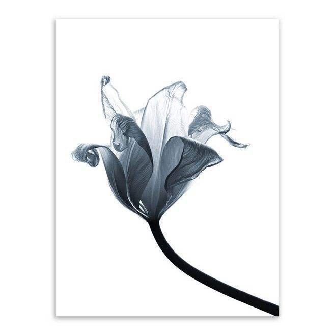 ขอคนใจดเปนเพอนปสกคน（翻自 群星）