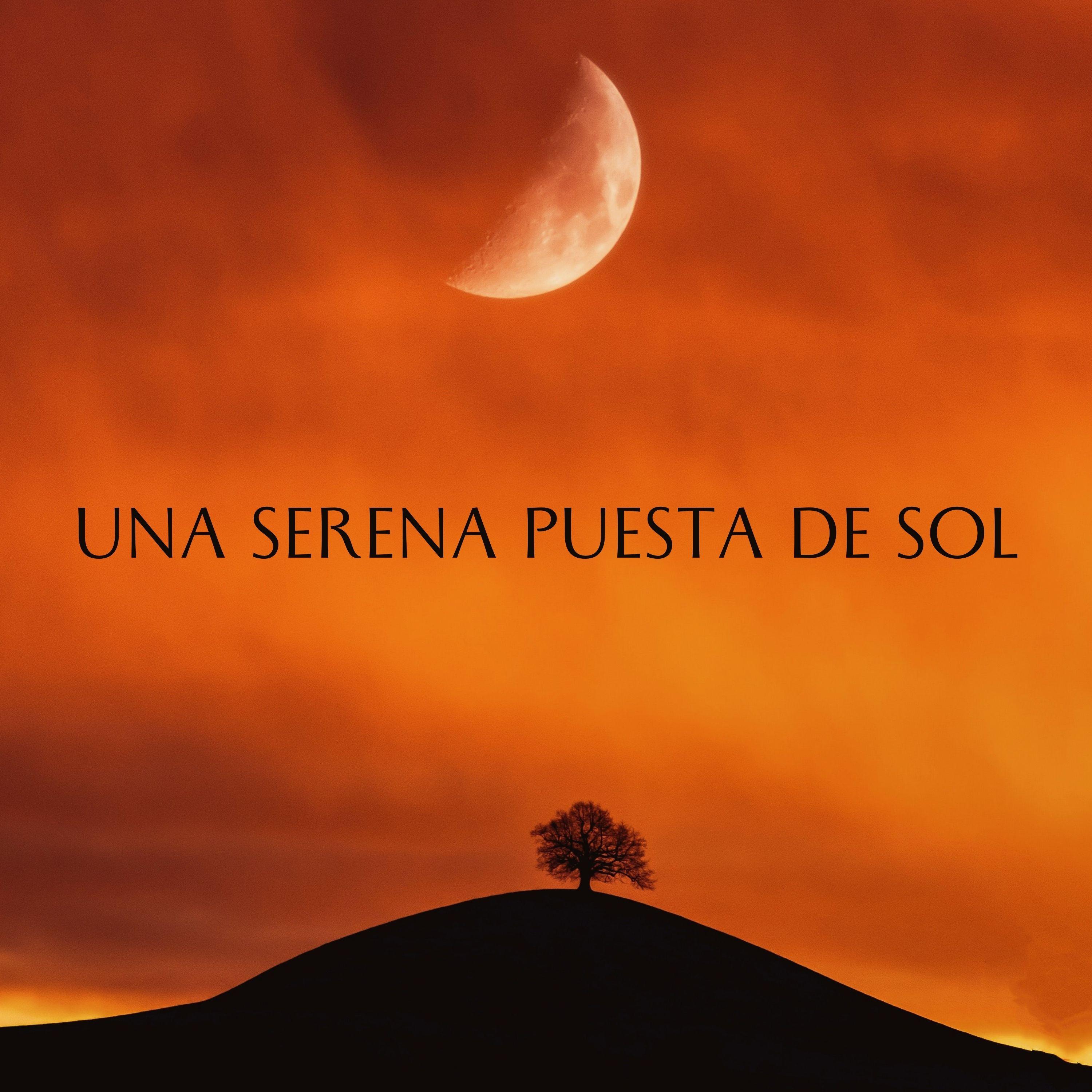 Viajes Al Atardecer_Sonidos De Lluvia y Tormentas_Una Serena Puesta De Sol | 在线播放_Viajes Al Atardecer歌词_Viajes Al Atardecer下载 | 网易云音乐