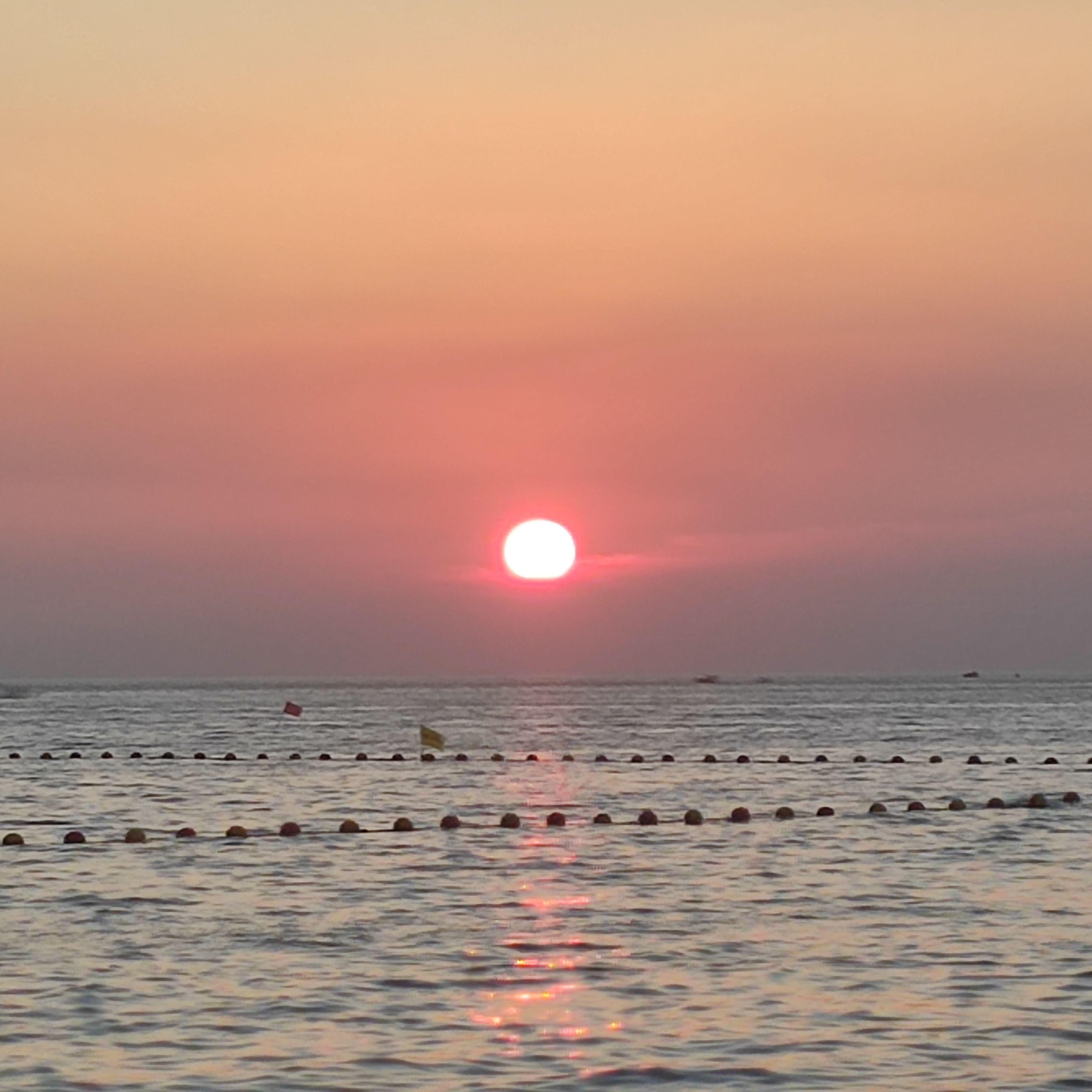 去码头搞点薯条吃吃吧