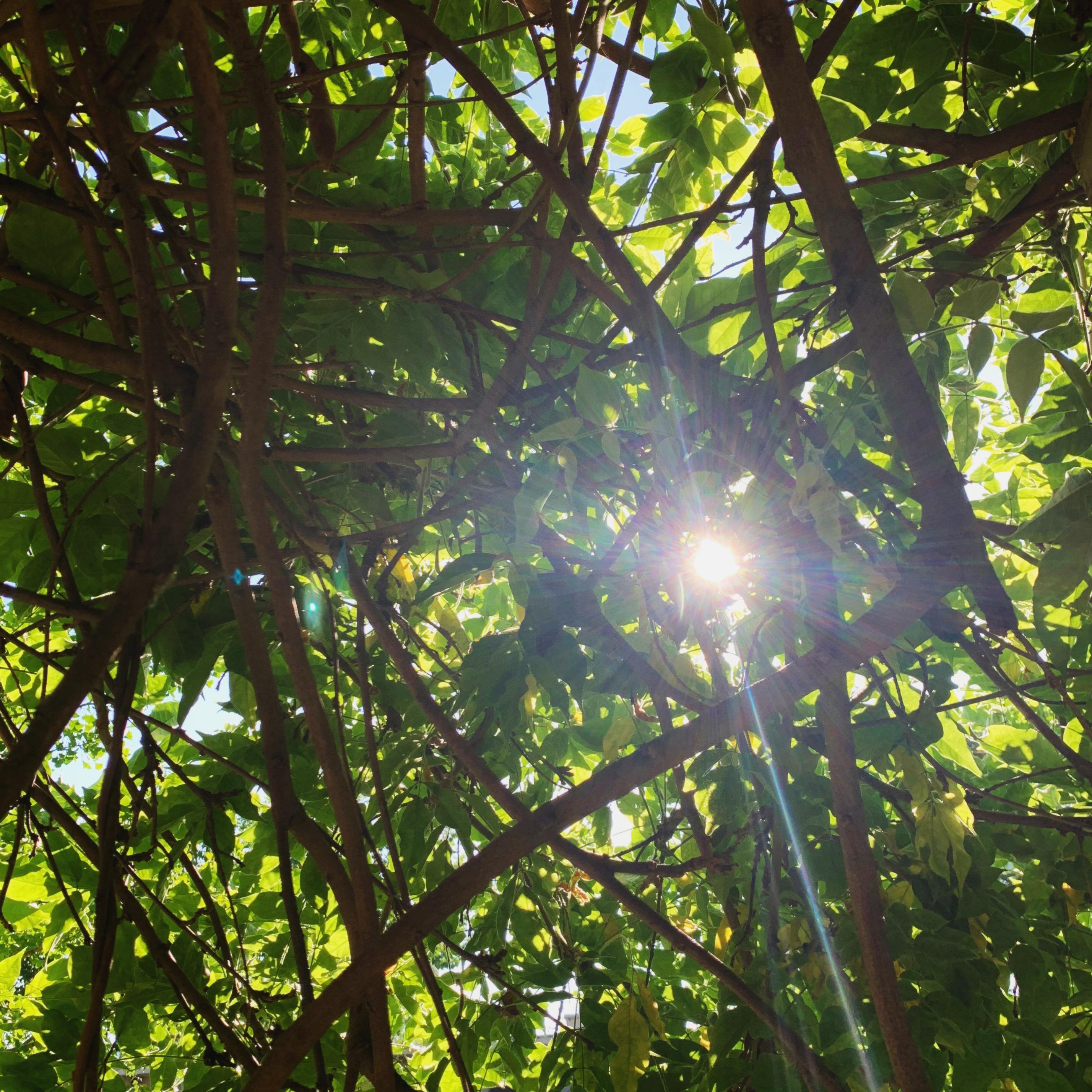 [Free] " 午後愛人 " " R&B Chill Type Beat "