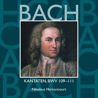 Bach, JS : Sacred Cantatas BWV Nos 109 - 111