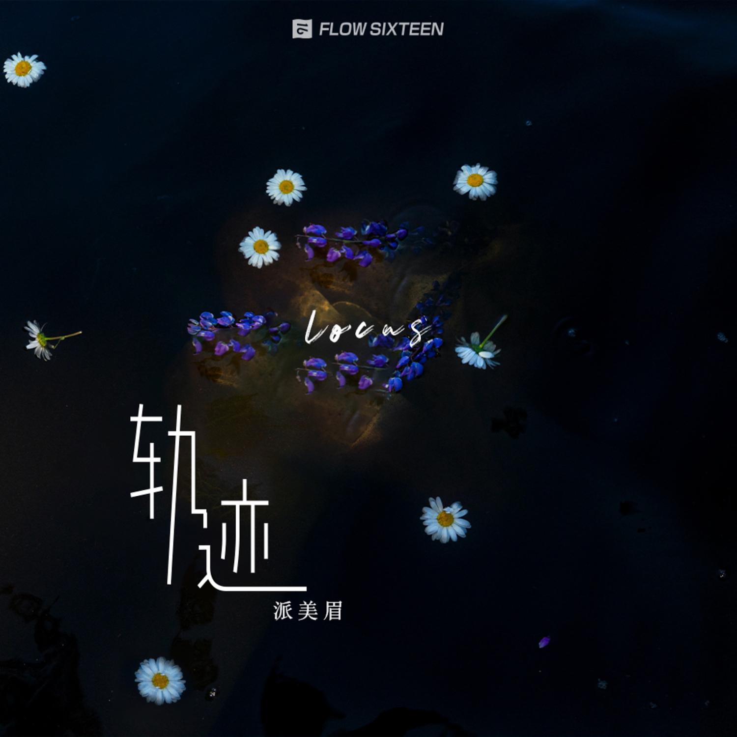 轨迹 (伴奏)封面