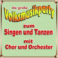 Volksmusikparty