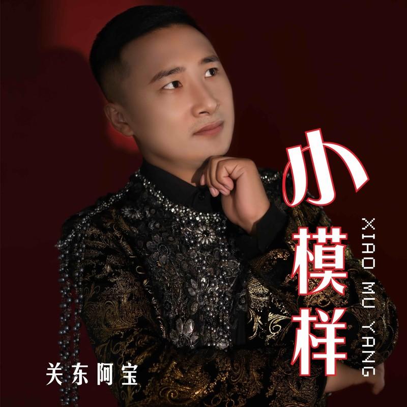 小模样 (Dj伟然版)封面