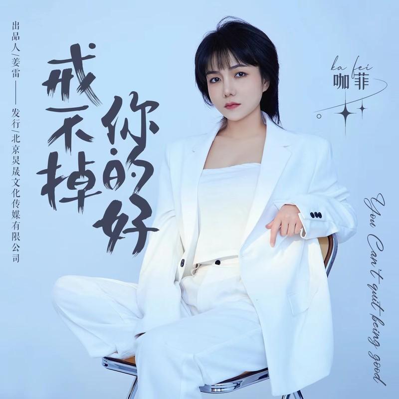 戒不掉你的好 (伴奏)封面