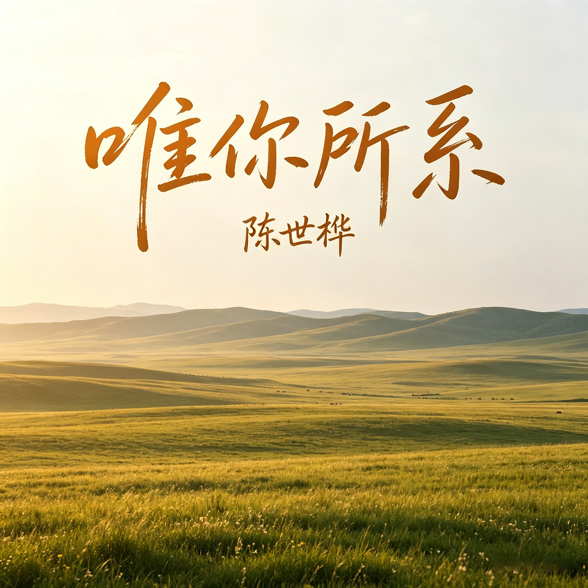 唯你所系封面