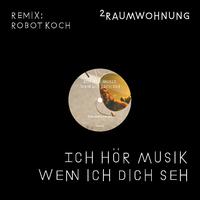 Ich hör Musik wenn ich dich seh (Robot Koch Remix)