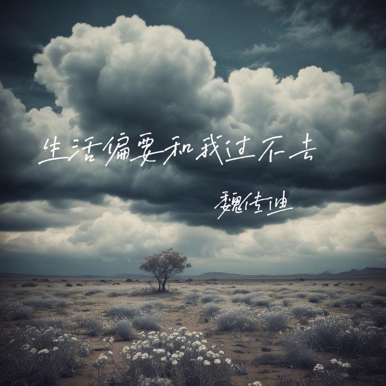 生活偏要和我过不去(伴奏)封面