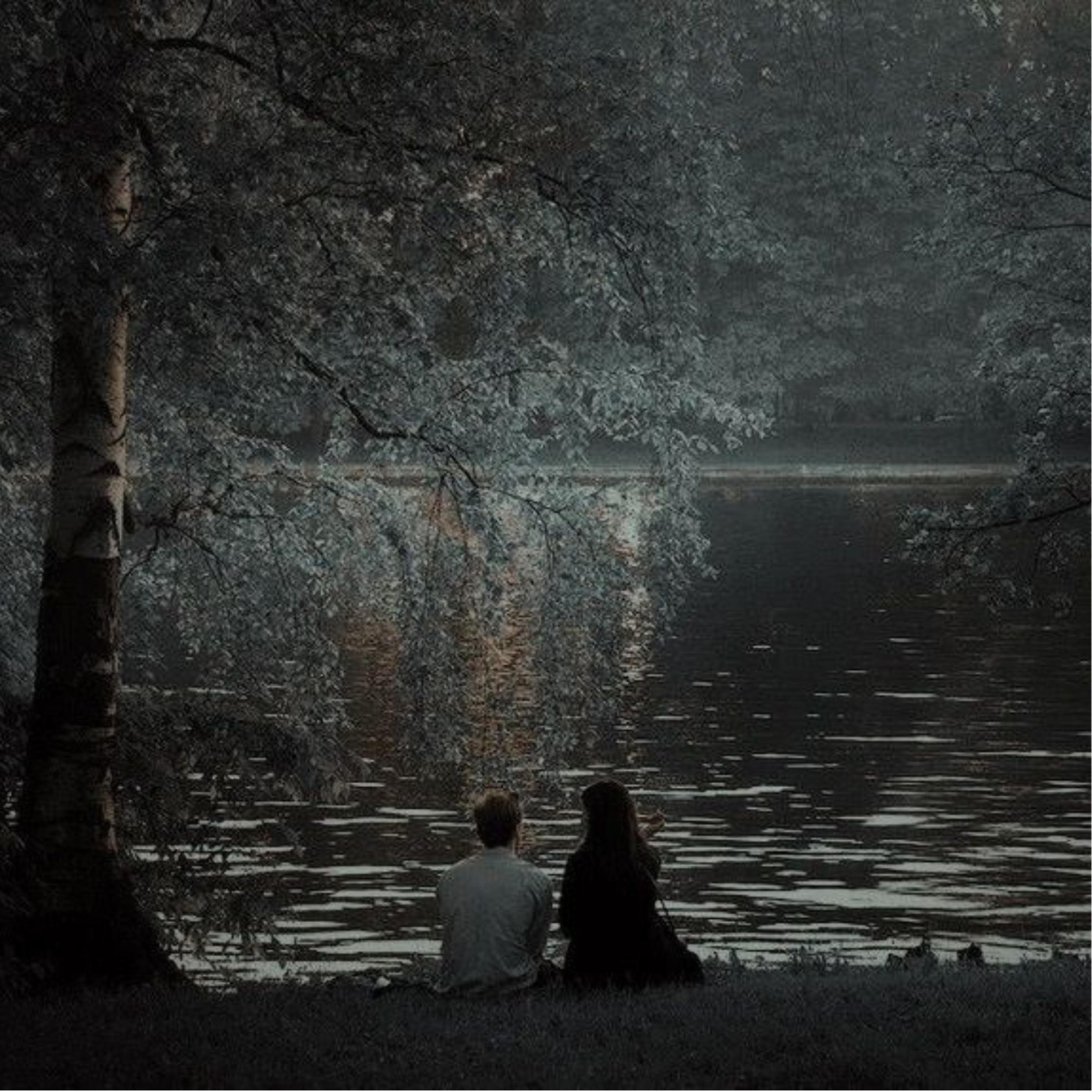 The Tree When We Sat Once