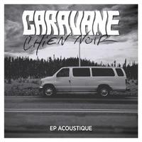 Chien noir (Acoustique)