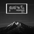 烽烟起寻爱似浪淘沙 (DJ版) - 枫叶封面