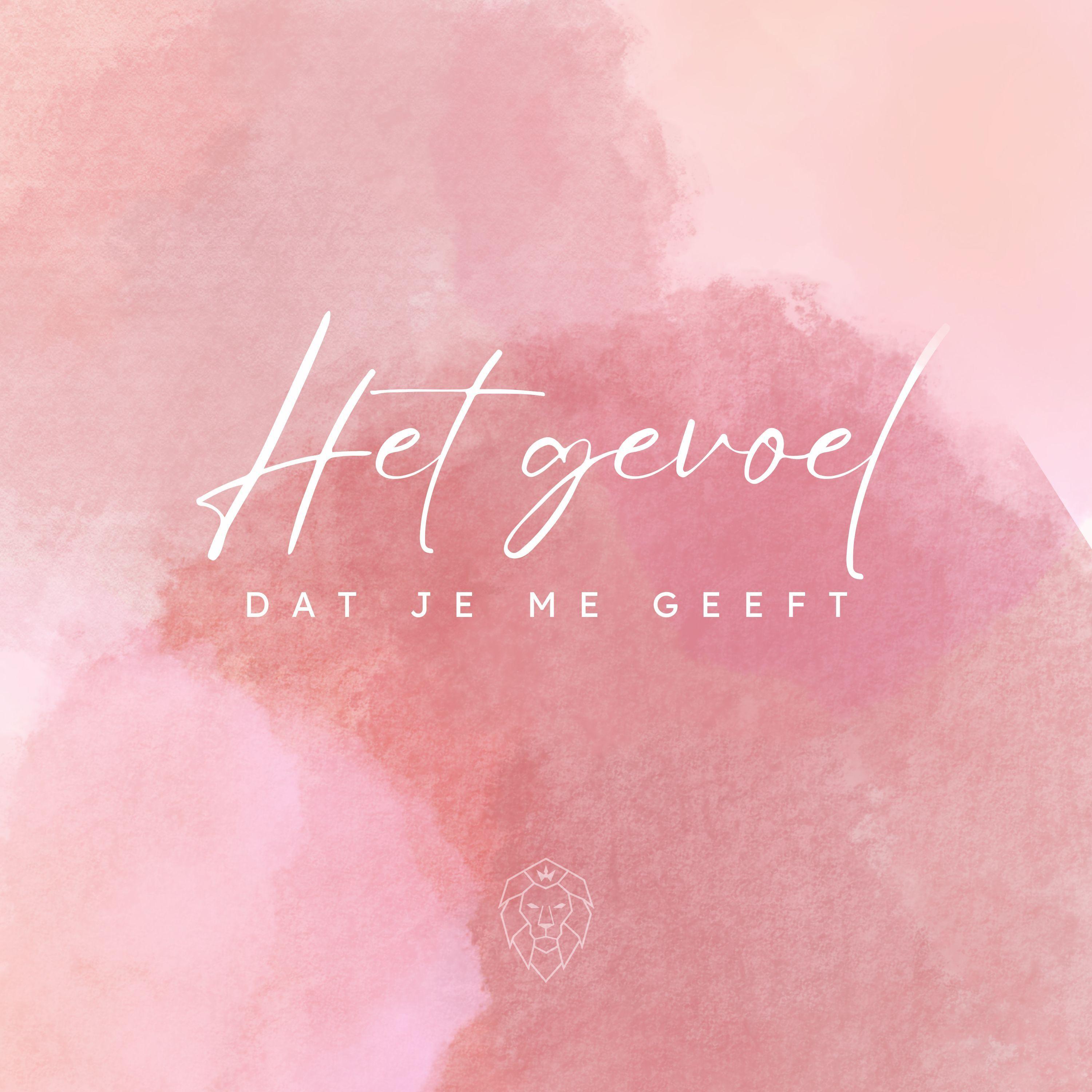 Het Gevoel Dat Je Me Geeft