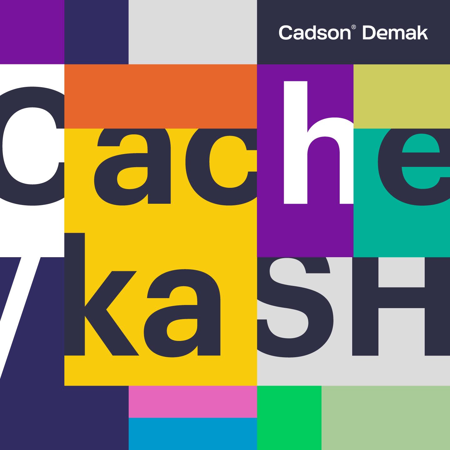 Cache