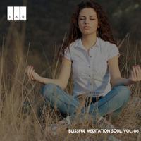 Blissful Meditation Soul, Vol. 06