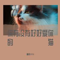 你有没有好好爱你的猫