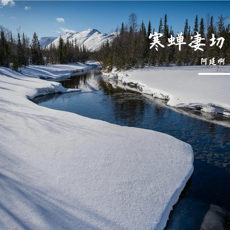 雪罢又一年封面