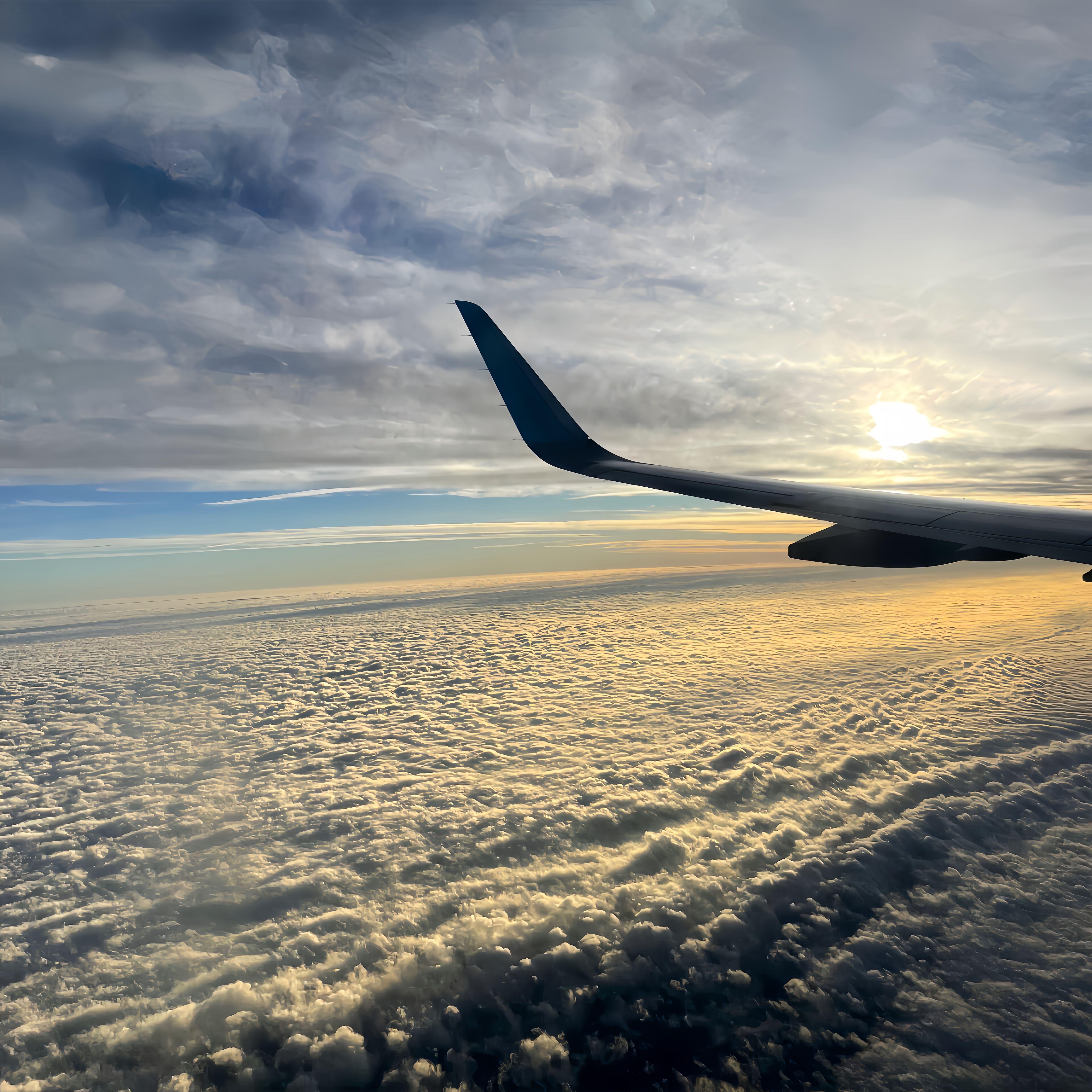 我的伤痛回头看过冬